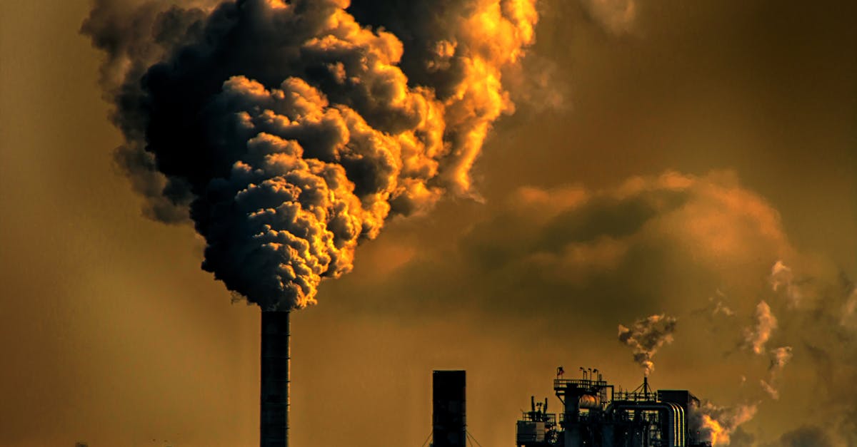 Ilmansaasteet - Avustukset Voivat Pahentaa Myrkyllisen Ilman Ongelmaa – Näin Voimme Muuttaa Suuntaa