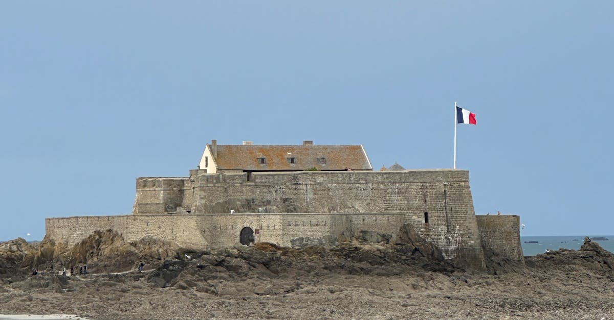 Sähköautot - Ford uudistaa strategiaansa: Sähköautot syrjään, akut etusijalle