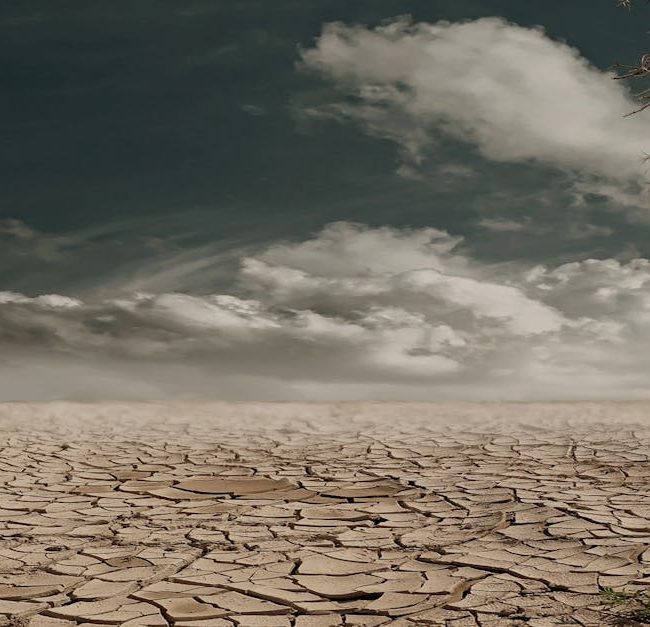 ilmastonmuutos - Ilmastonmuutos protestit kiihtyvät, mutta niin tekee myös niiden tukahduttaminen – Mitä me voimme tehdä?