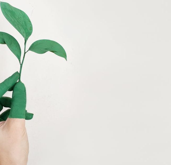 kestävyys - Kestävä Tulevaisuus Kutsuu: Kuinka Boston Rakentaa Vihreämmät Uudet Työpaikat