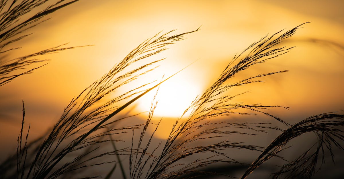 Magnesium - Kriittisen Mineraalin Kriisi: US Magnesiumin Konkurssi ja Mitä Se Merkitsee Magnesiumin Toimittajille