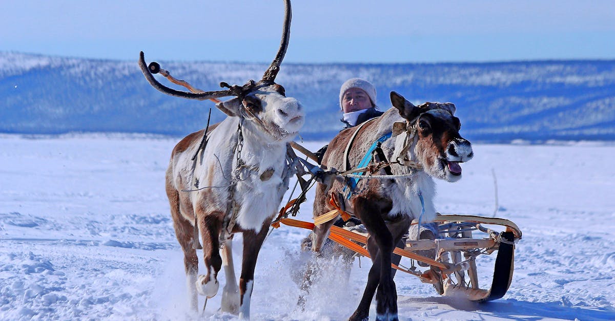 Ilmasto - Sámi-kansan tulevaisuus Suomessa: Ilmastonmuutos, kulttuurin säilyttäminen ja kohti kestävää yhteistyötä