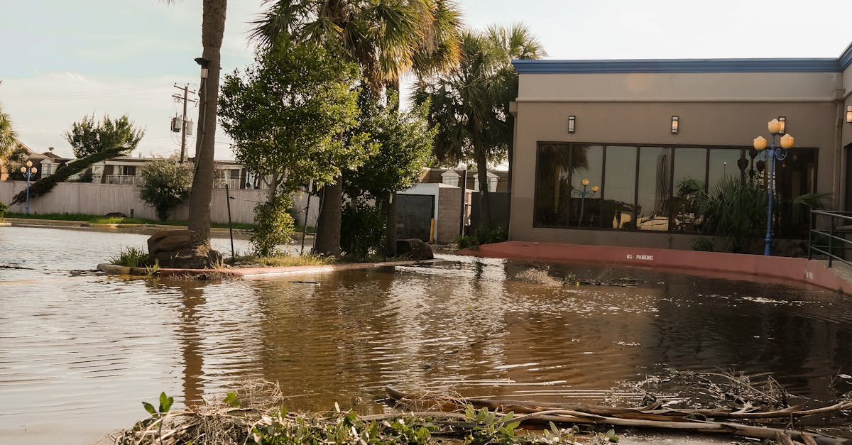 Katastrofiapu - Yksityistämisen aikakausi muuttaa katastrofin elpymistä: Mitä se merkitsee tulevaisuudelle?