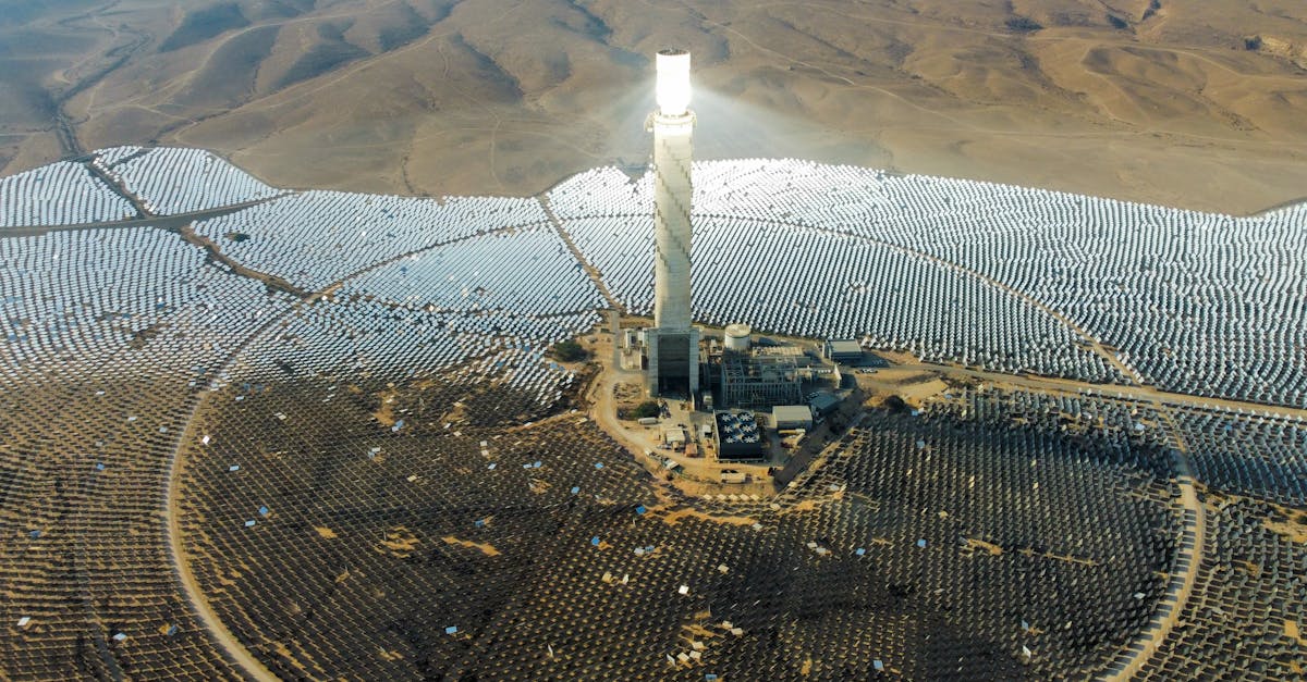 Aurinkovoimalat - Aurinkovoimalat ja harvinaiset kasvit: Uusi strategia elvyttää kuivien alueiden luontoa