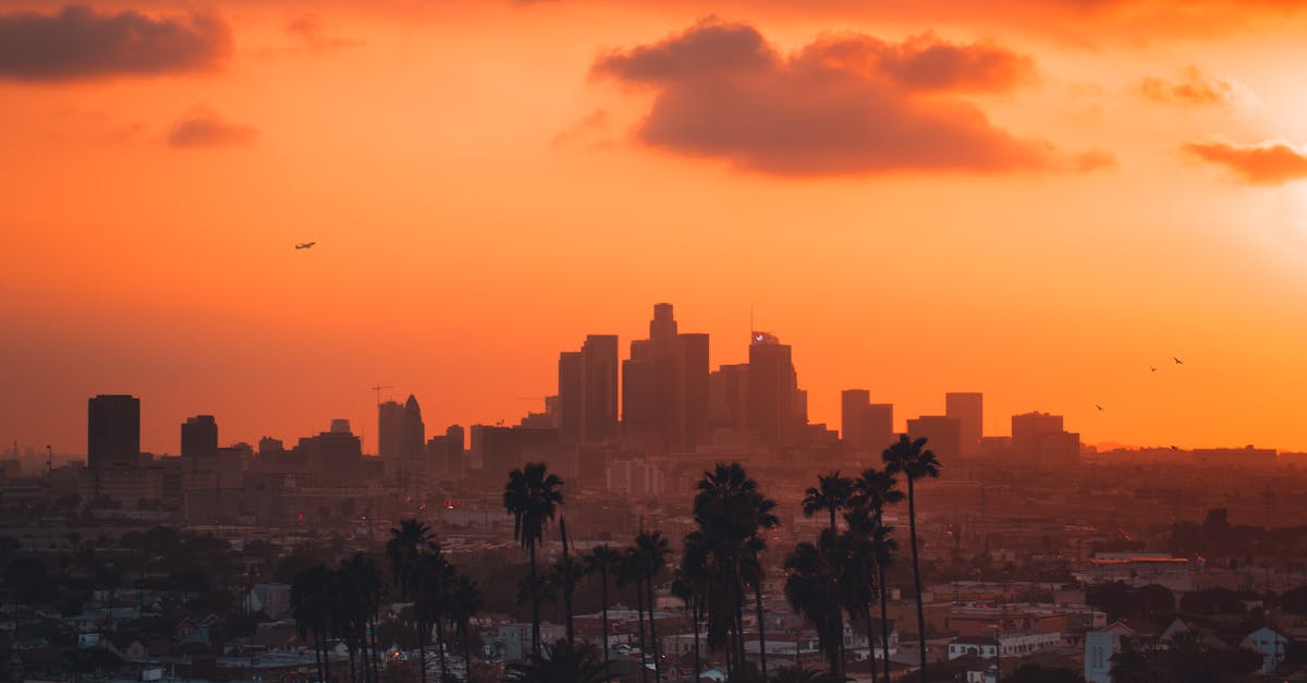 Biopolttoaineet - Biopolttoaineiden käytön riskit: Ympäristön ja ruokaturvan tasapainottelu