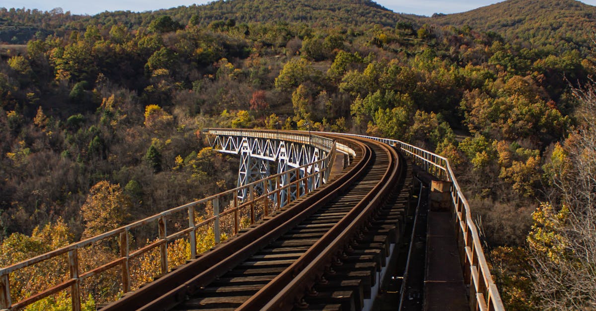 ilmastonmuutos - ISDS:n loppu: Avainaskeleet kohti kestävämpää maailmantaloutta