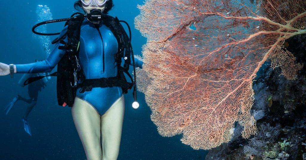 Matkailu - Matkailualan kasvu uhkaa meriruohon tulevaisuutta: Miten voimme suojella tätä arvokasta ekosysteemiä