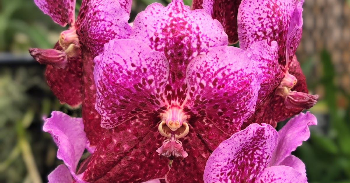 Ilmastonmuutos - Miksi pakottaminen ympäristöystävällisyyteen voi kääntyä itseään vastaan: Uusi tutkimus paljastaa