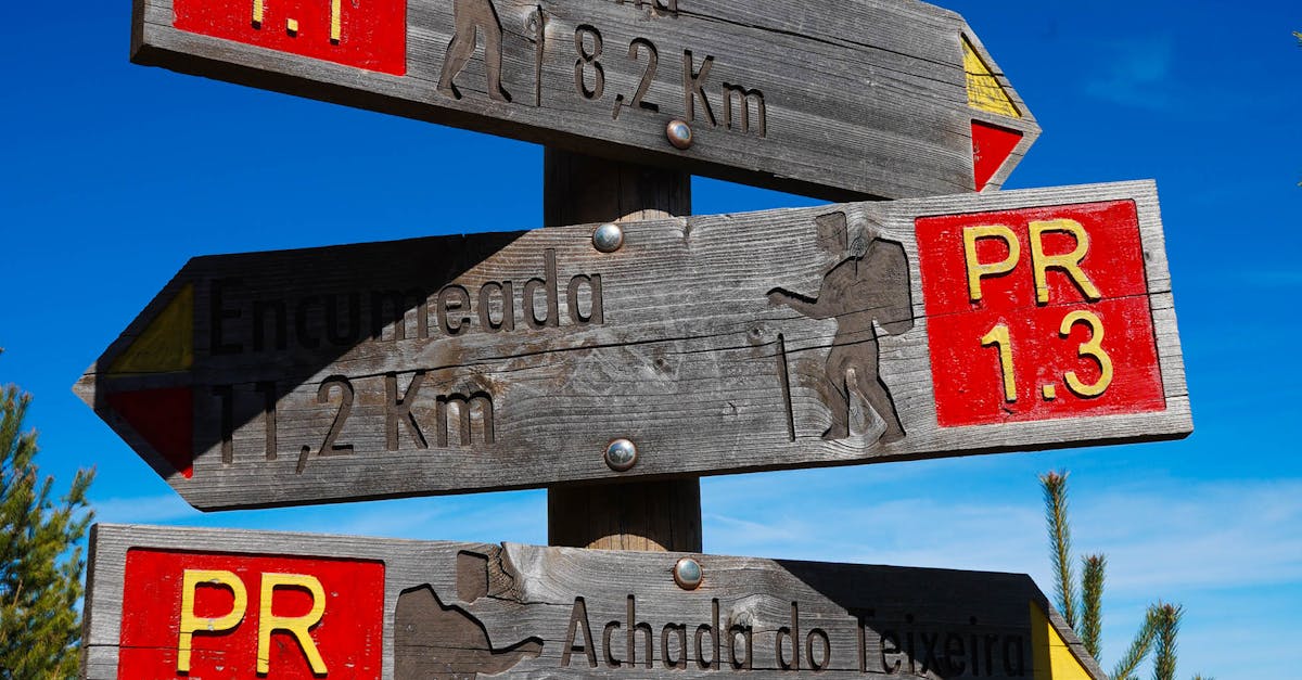 Simpukoiden surkastuminen - Miten voimme pysäyttää simpukoiden surkastumisen ja pelastaa vesistömme?