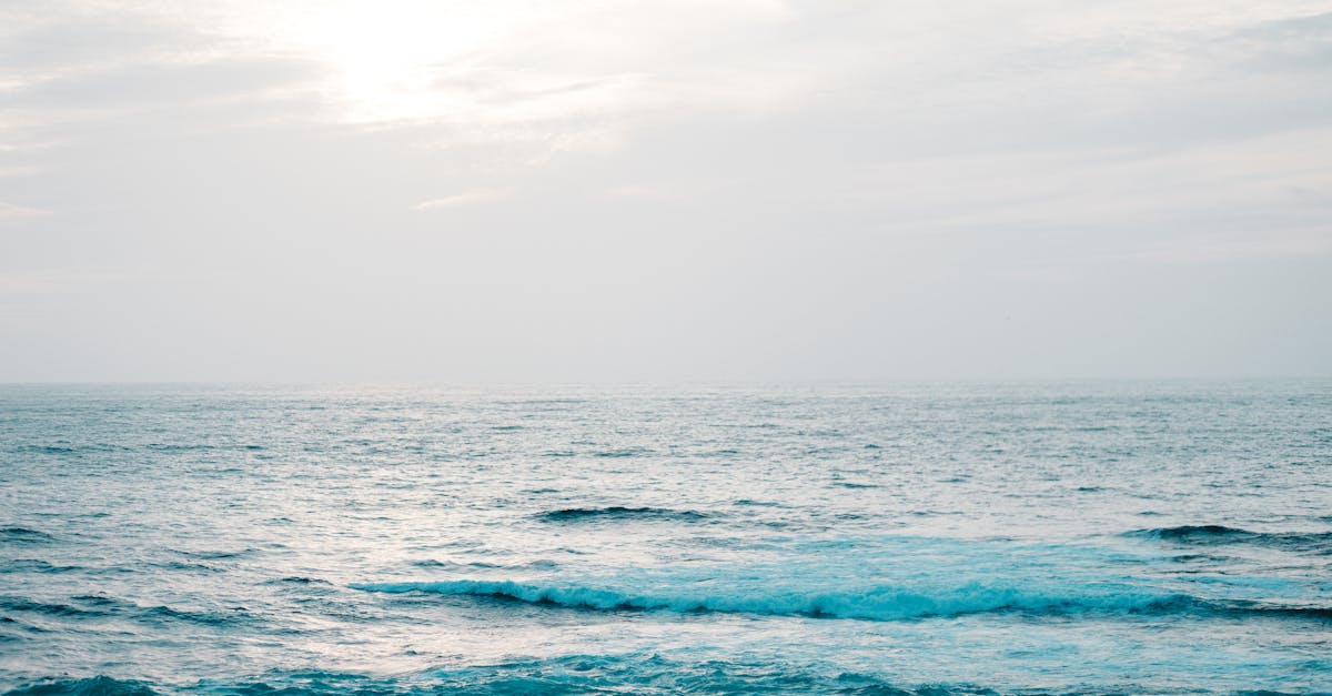 Mediaunioni - Miksi Suomi Tarvitsee Mediakuluttajien Unionin Nyt Enemmän Kuin Koskaan