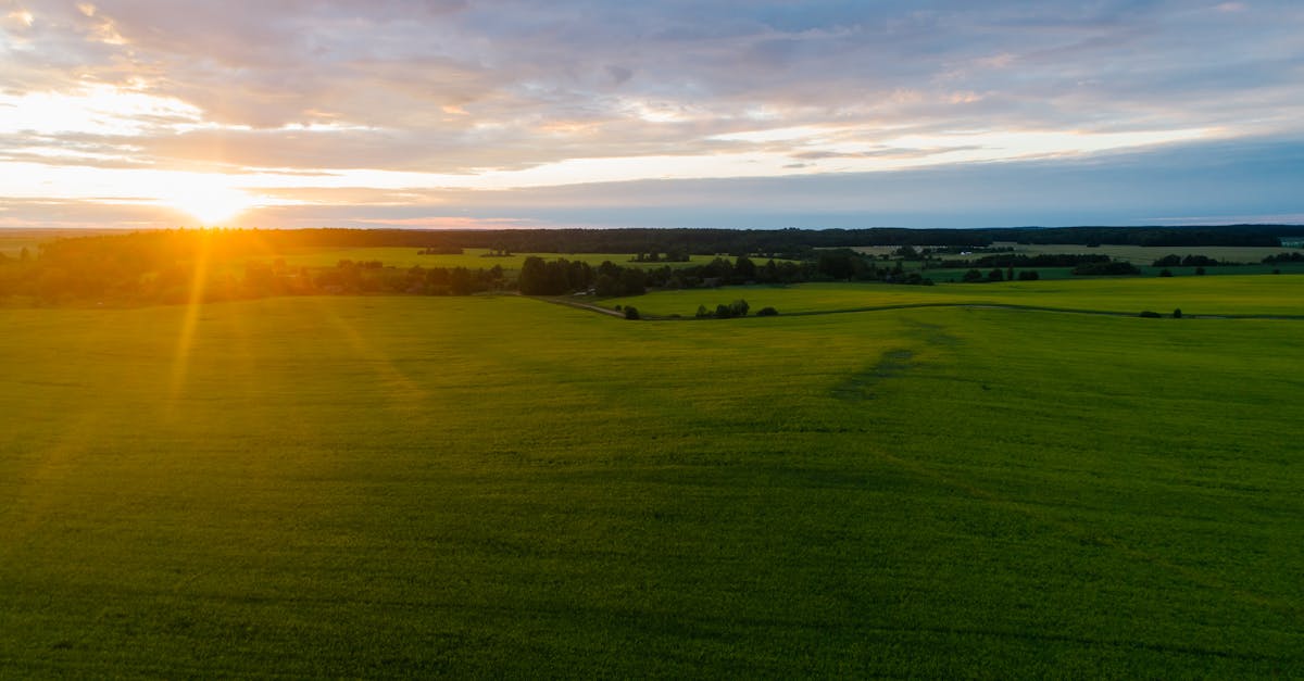 Ympäristönsuojelu - Näin Ympäristövoitot 2025 Muuttavat Maailmaa: Innovatiot ja Läpimurrot Kohti Vihreämpää Huomista