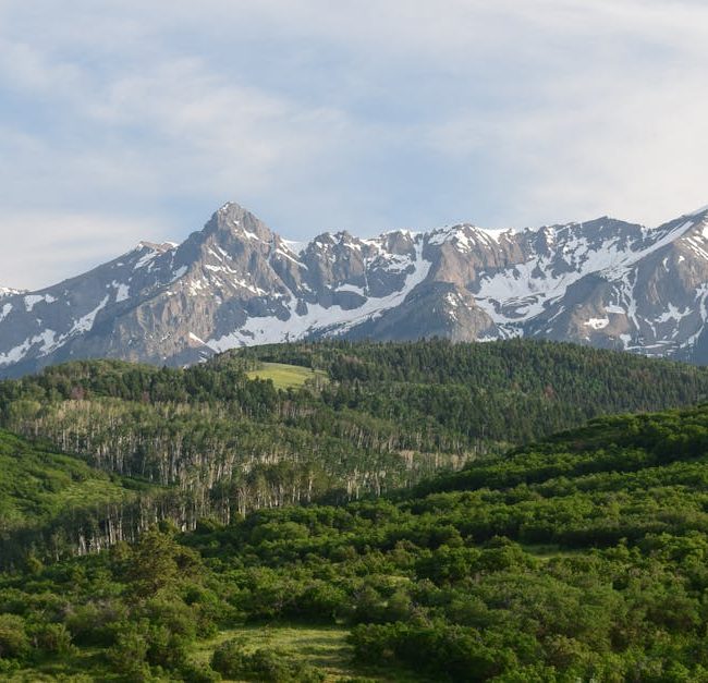 Hiilensidonta - Hiilidioksidin varastointi: Kalifornian pelastus vai ekologinen uhkapeli?