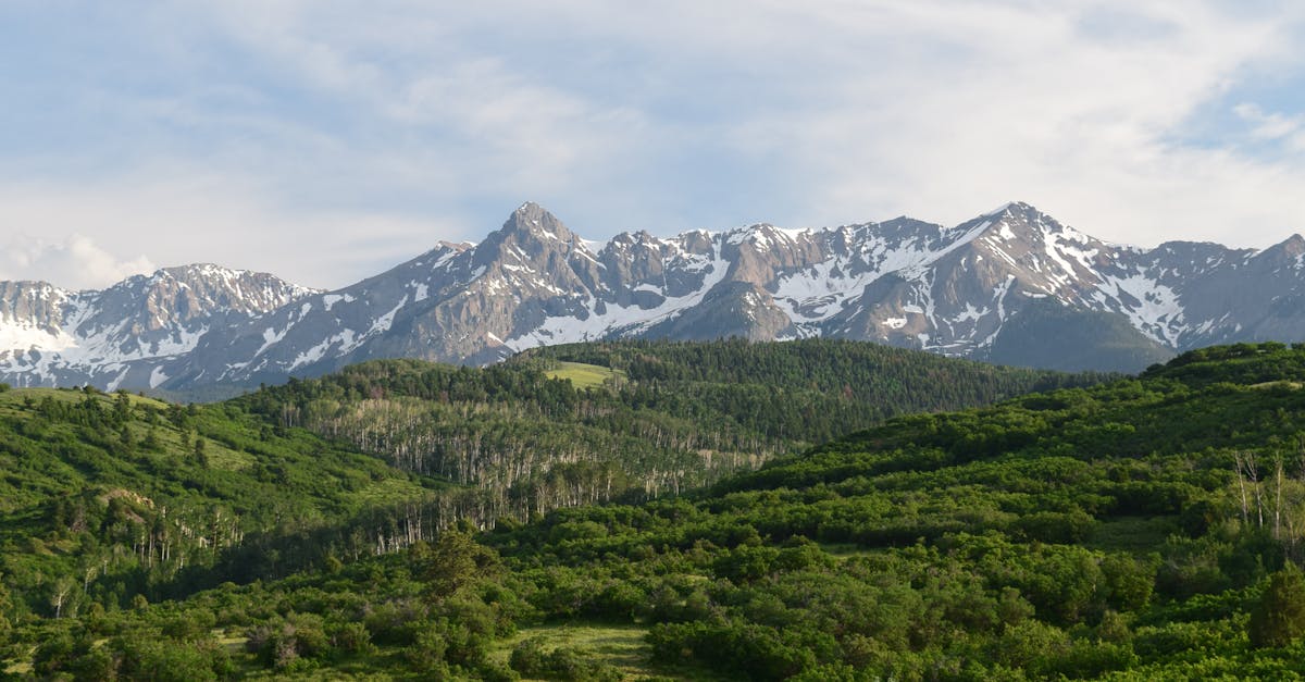 Hiilensidonta - Hiilidioksidin varastointi: Kalifornian pelastus vai ekologinen uhkapeli?
